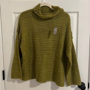 Aerie Turtleneck Sweater